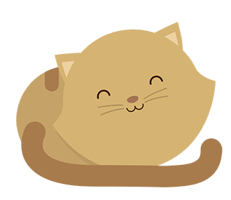 cute kitten